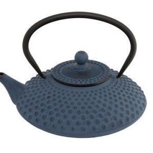 Bredemeijer Jing Teekannu 1