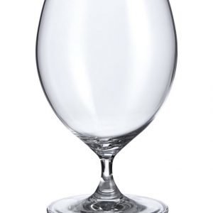 Casa Stockmann Olutlasi 600 ml