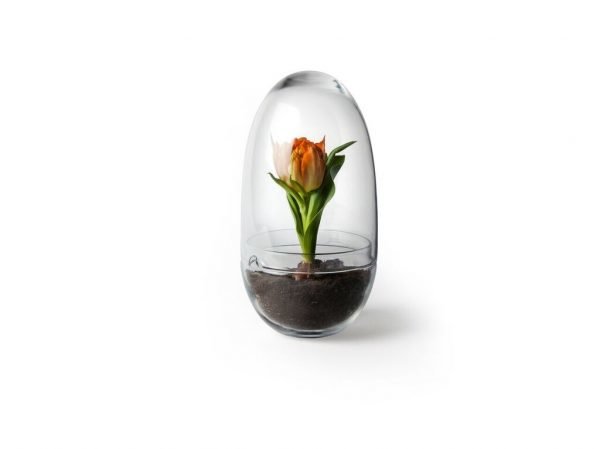 Design House Stockholm Grow Large Minikasvihuone 12 Cm