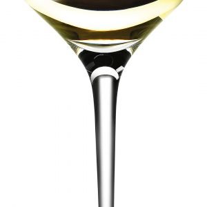 Eva Solo Sauvignon Blanc Viinilasi Kirkas 30 Cl