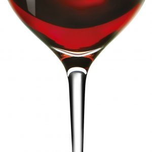 Eva Solo Syrah Viinilasi Kirkas 40 Cl