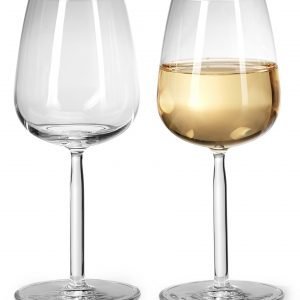 Iittala Senta Valkoviinilasit 2 Kpl