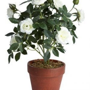 KJ Collection Kukka Ruusu Valkoinen 33 cm