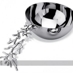 Mukul Goyal Kulho Harvest Kromi