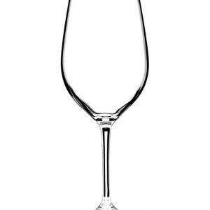 Riedel Vinum Xl Riesling Grand Cru Valkoviinilasi 2 Kpl
