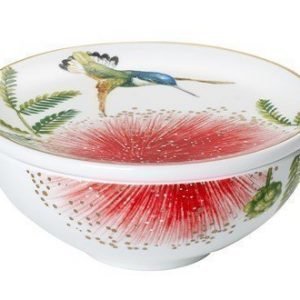 Villeroy & Boch Amazonia Gifts Decorative Astia