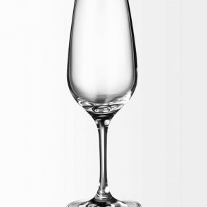 Villeroy & Boch Entrée Samppanjalasi 205 mm
